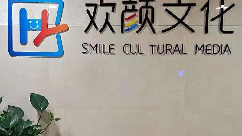 上海媒介投放服务：解析其核心要素与策略