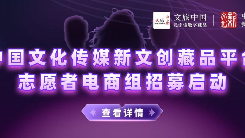 VI设计报价之谜：揭开价格背后的秘密